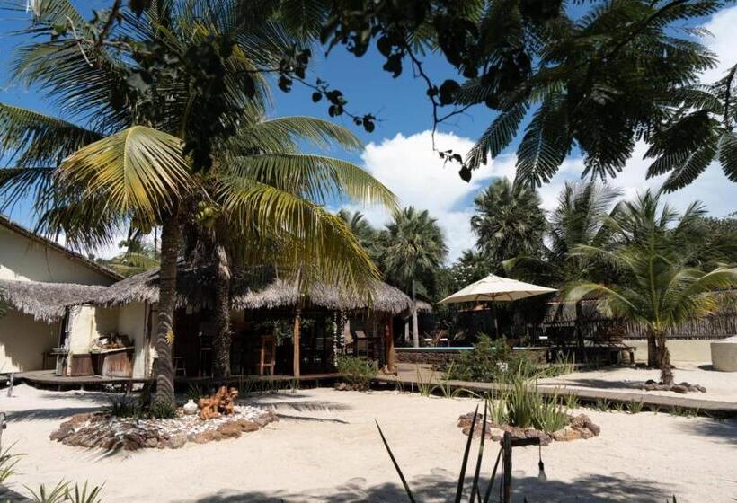 膳宿费 Terra Patris