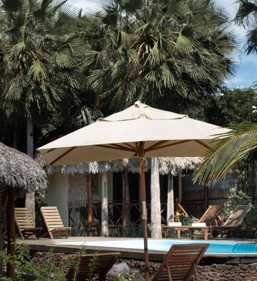 膳宿费 Terra Patris