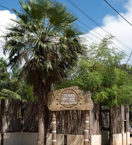 膳宿费 Terra Patris