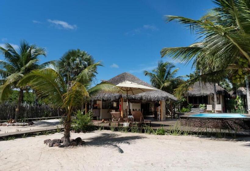 بنسيون Terra Patris