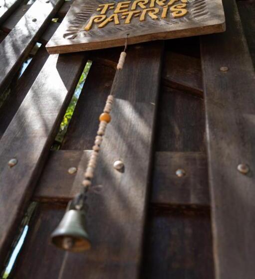 膳宿费 Terra Patris