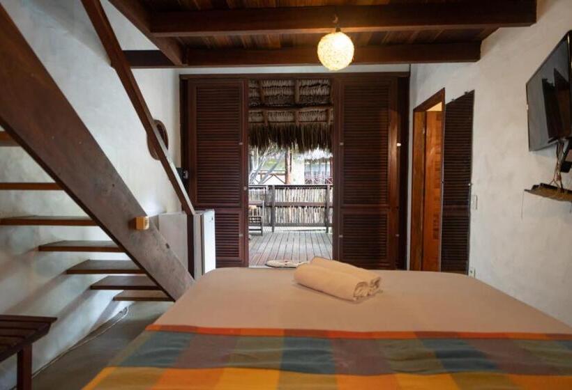 膳宿费 Terra Patris