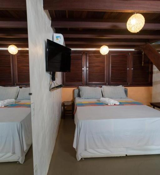 膳宿费 Terra Patris