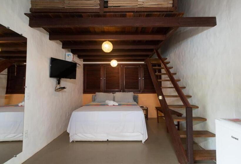 膳宿费 Terra Patris