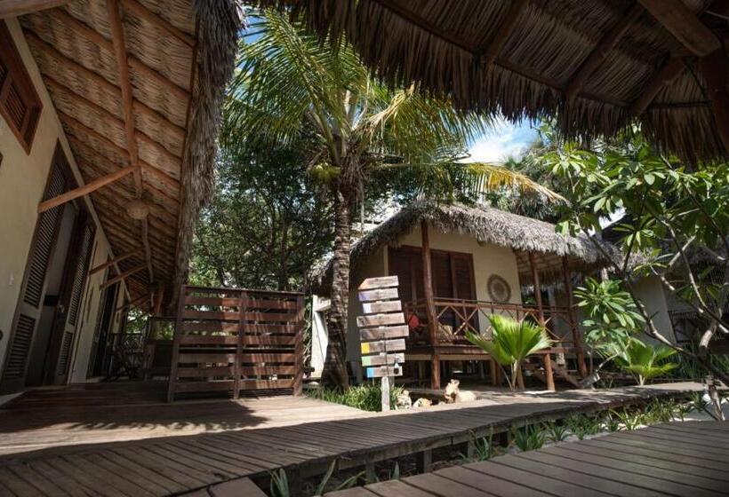 بنسيون Terra Patris