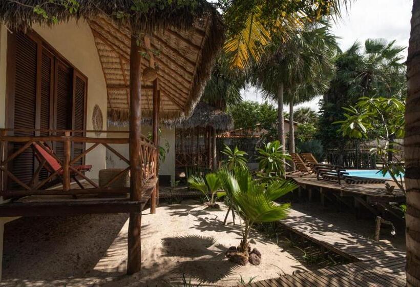 膳宿费 Terra Patris