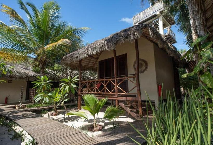 بنسيون Terra Patris