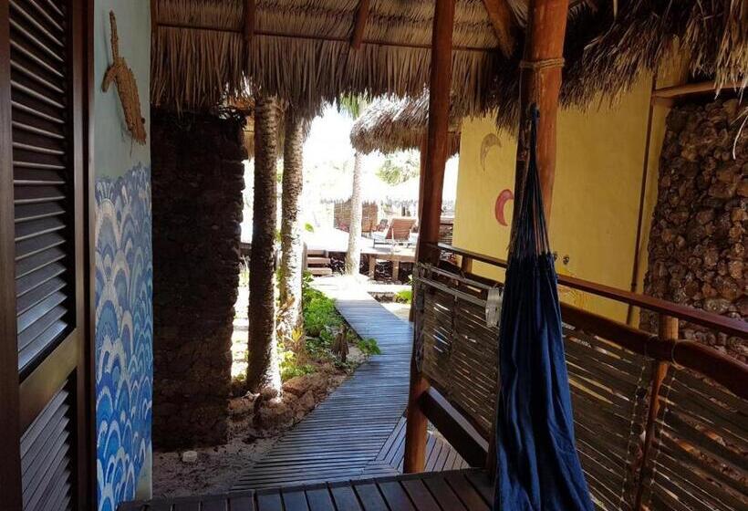 膳宿费 Terra Patris