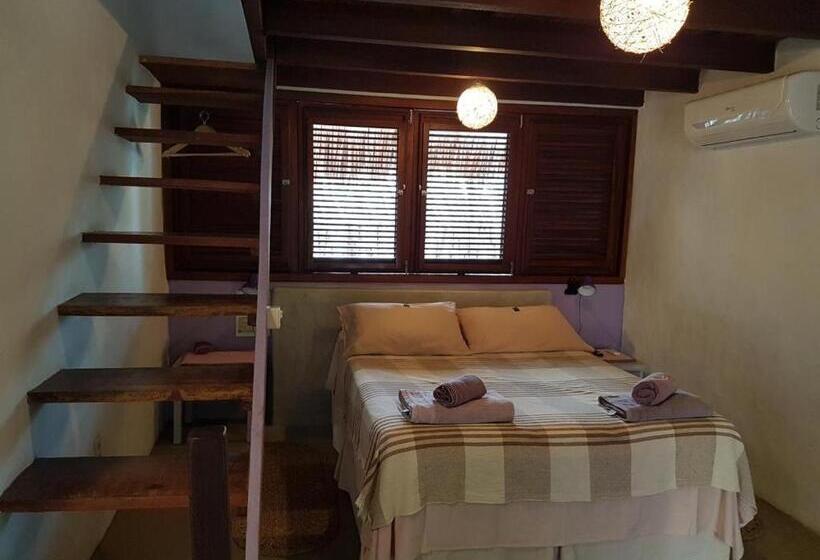 膳宿费 Terra Patris