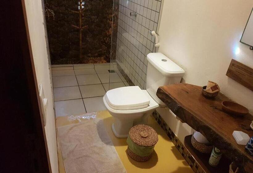 膳宿费 Terra Patris