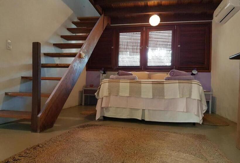 膳宿费 Terra Patris