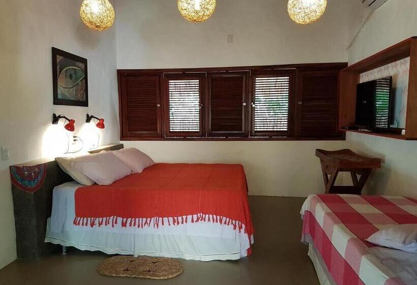 膳宿费 Terra Patris