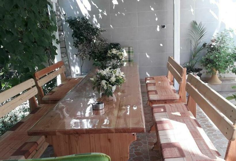 פנסיון Veda Guest House