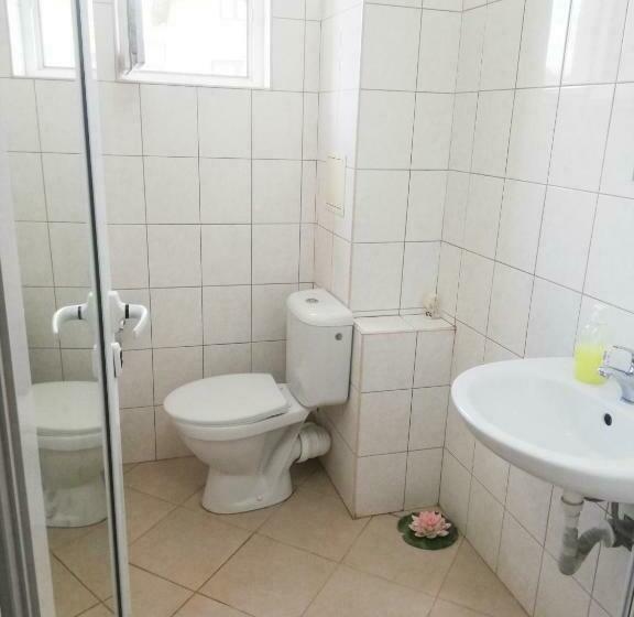 פנסיון Veda Guest House