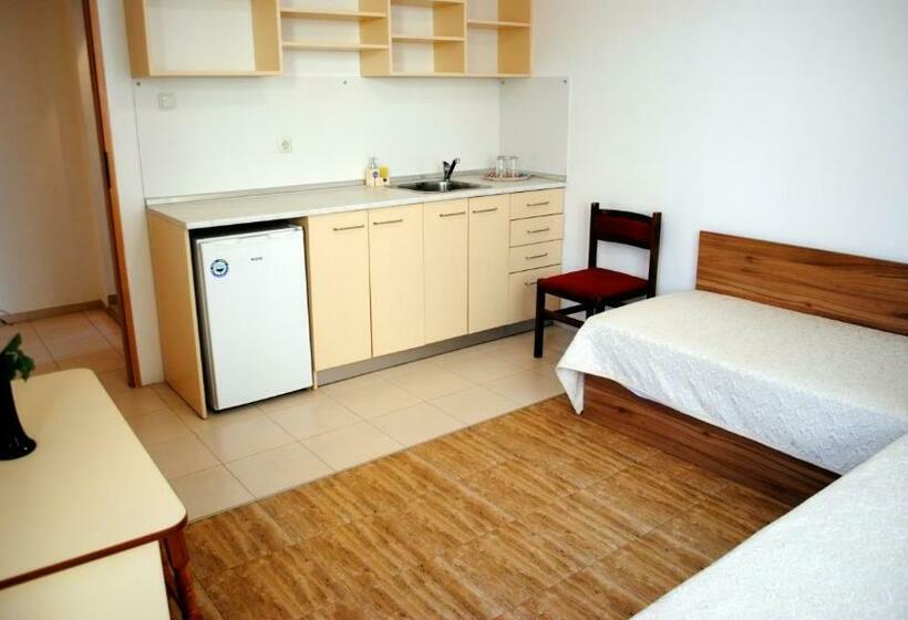 פנסיון Veda Guest House