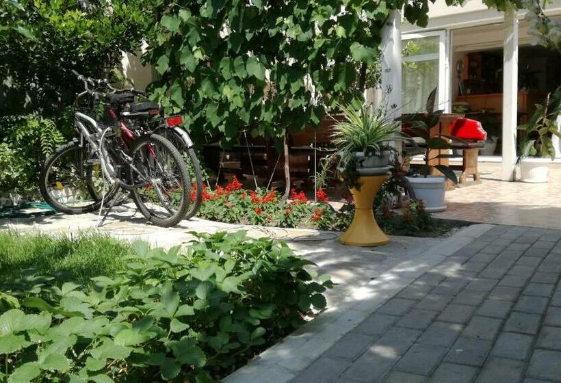 פנסיון Veda Guest House