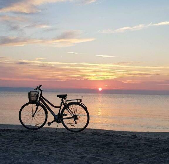 פנסיון Veda Guest House