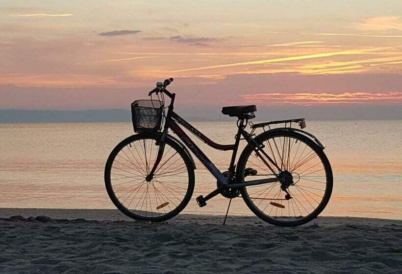 פנסיון Veda Guest House