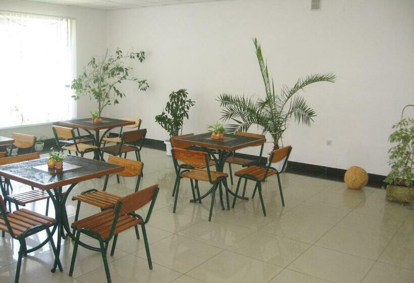 بنسيون Vian Guest House