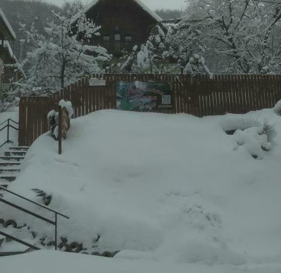 פנסיון Vila Anna