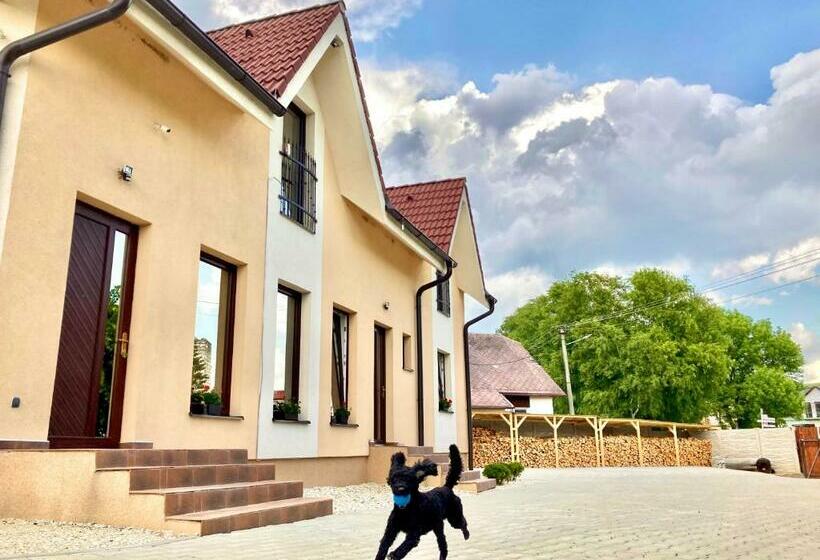 بنسيون Vila Lesana