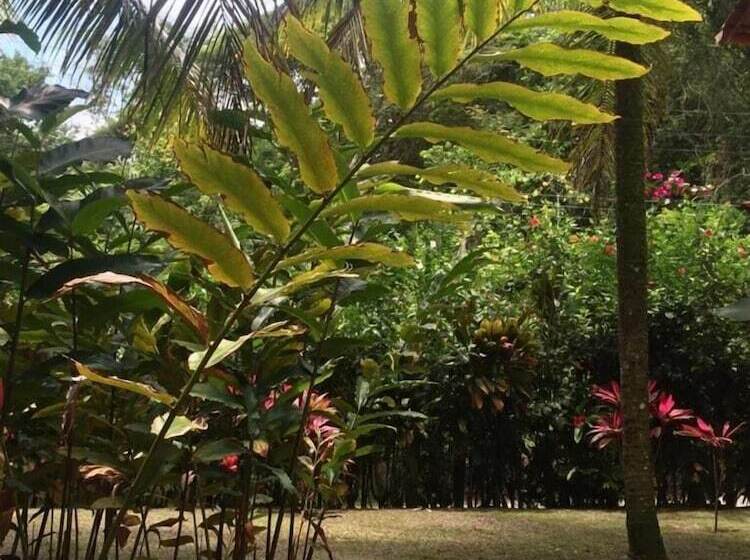 Пансион Vila Sofia Chalès