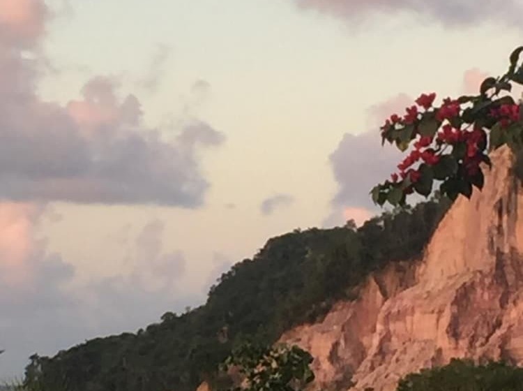 Пансион Vila Sofia Chalès