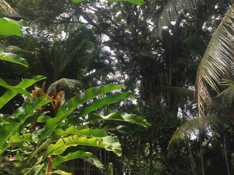 Пансион Vila Sofia Chalès