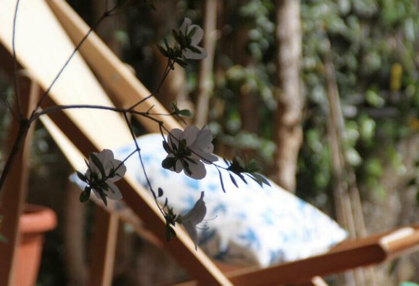 Пансион Villa Clelia