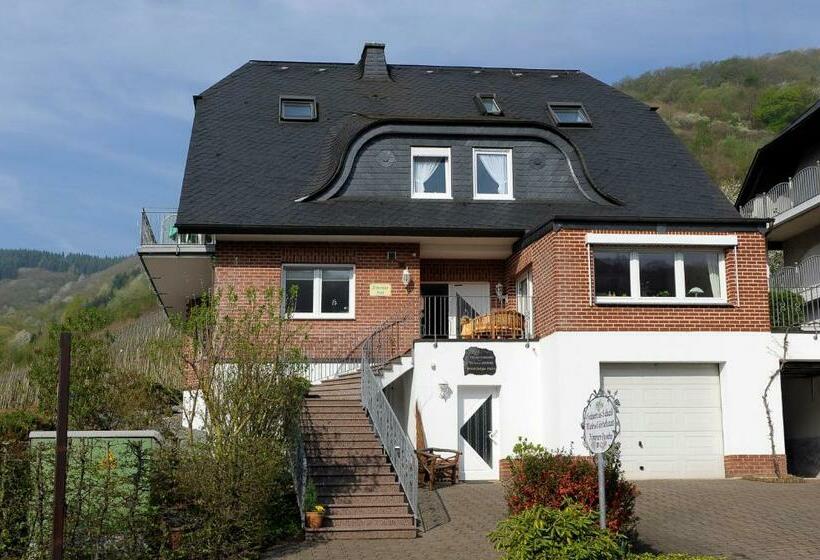 펜션 Wein Und Gästehaus Scheid