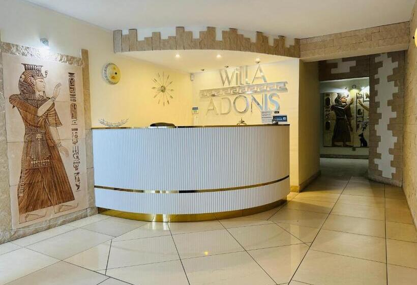 膳宿费 Willa Adonis