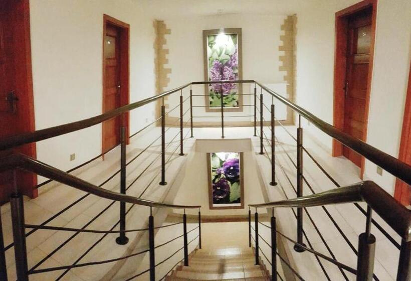 膳宿费 Willa Adonis