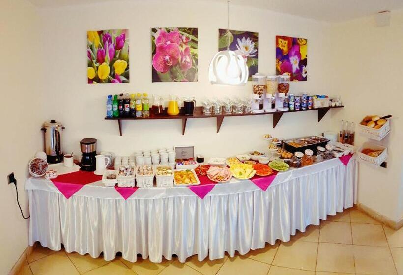 膳宿费 Willa Adonis