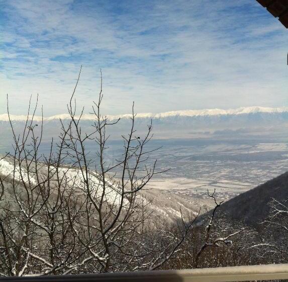 پانسیون Zandarashvili Guest House