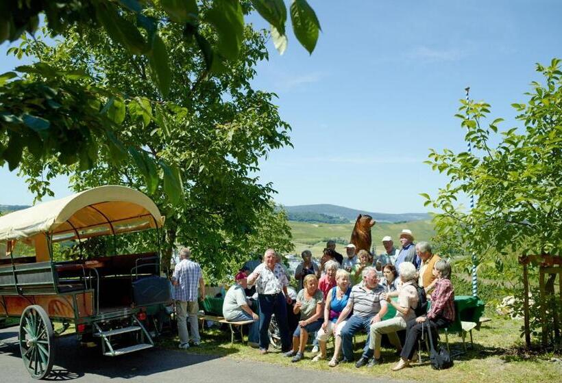 Pension Auf Der Olk Mit Röpertsmühle