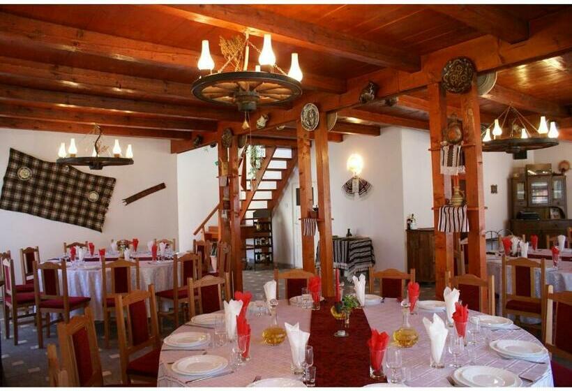 Pensiunea Andrei Sibiel