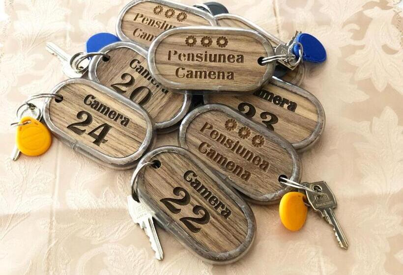 Pensiunea Camena