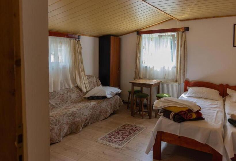 Pensiunea Montan Busteni