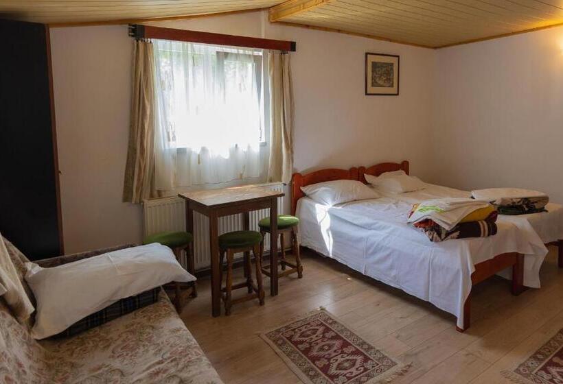 Pensiunea Montan Busteni