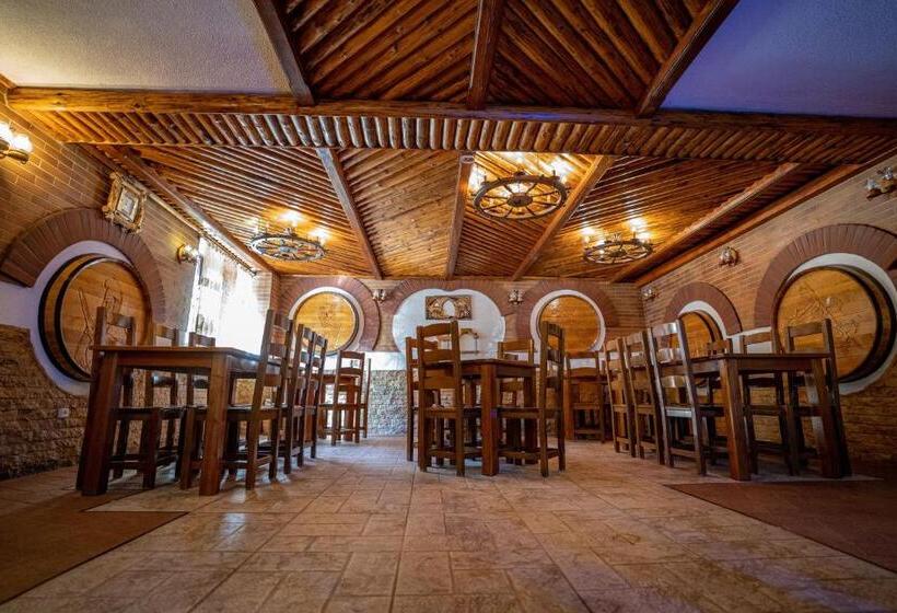 Pensiunea Sura Dacilor Alex