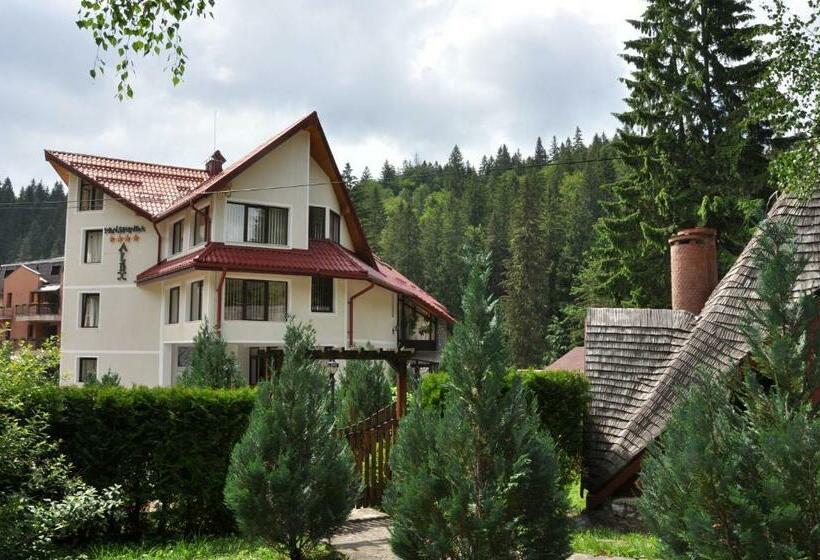 Pensiunea Sura Dacilor Alex