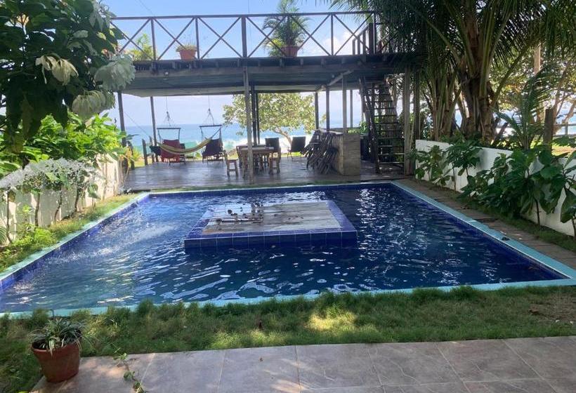 ユースホステル Hostal Hilltop Capurgana