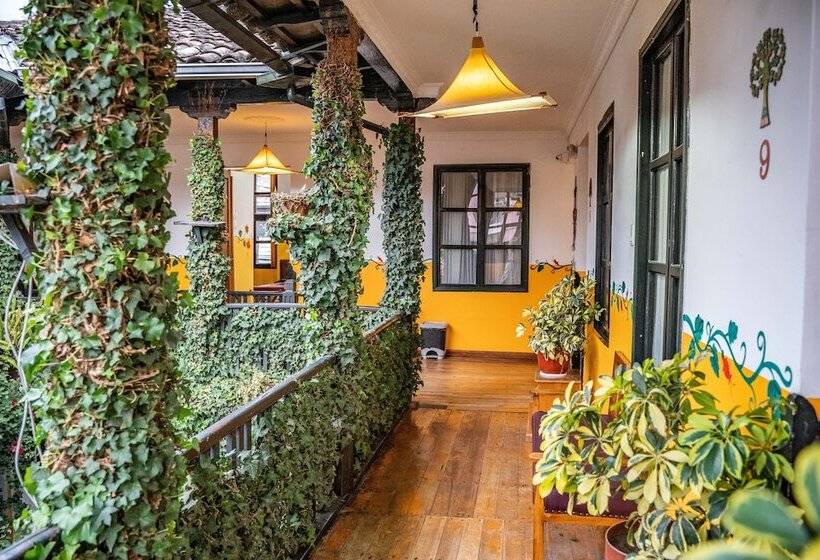 Общежитие Hostal Riviera Sucre