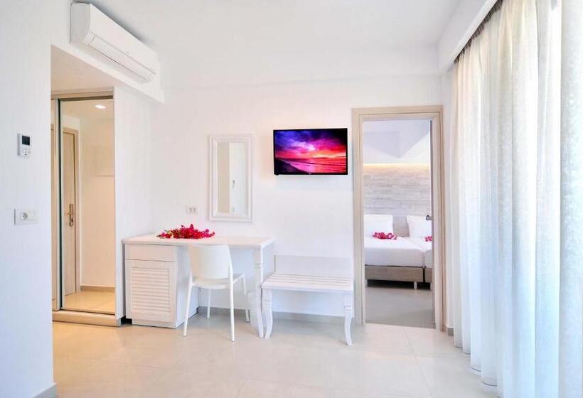 Apollon Windmill Boutique Hotel   Adults Only