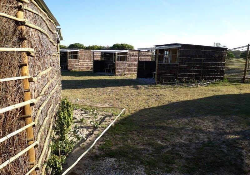 مبيت وإفطار Grootvlei Guest Farm