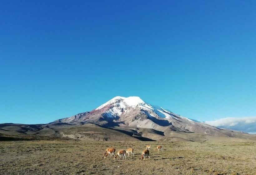 ベッドアンドブレックファースト Hostal La Casa Amarilla City
