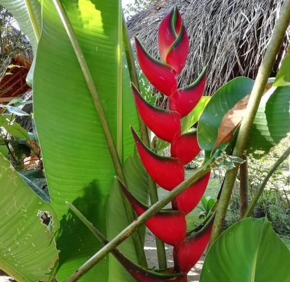 ベッドアンドブレックファースト Hostal La Casa Amarilla City