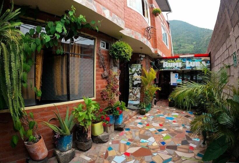 ベッドアンドブレックファースト Hostal La Casa Amarilla City