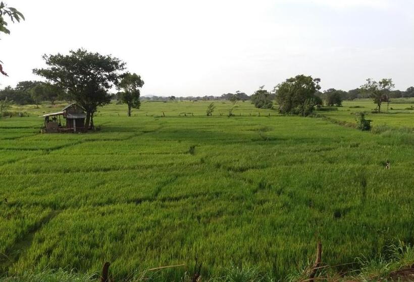 Bed and Breakfast Sigiriya Amenity Home Stay