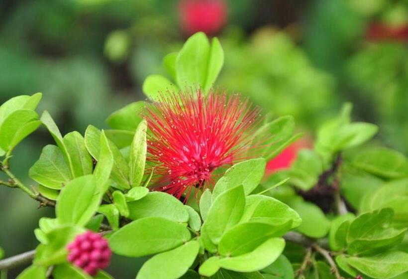 Bed and Breakfast Sigiriya Amenity Home Stay